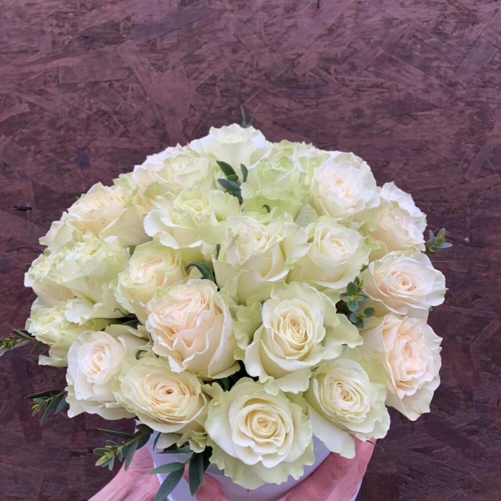 Шляпная коробка из 25 белых роз 